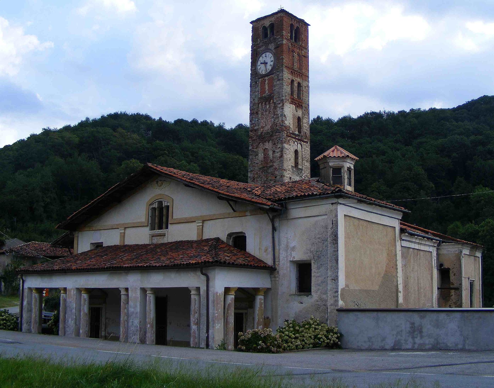 Curino